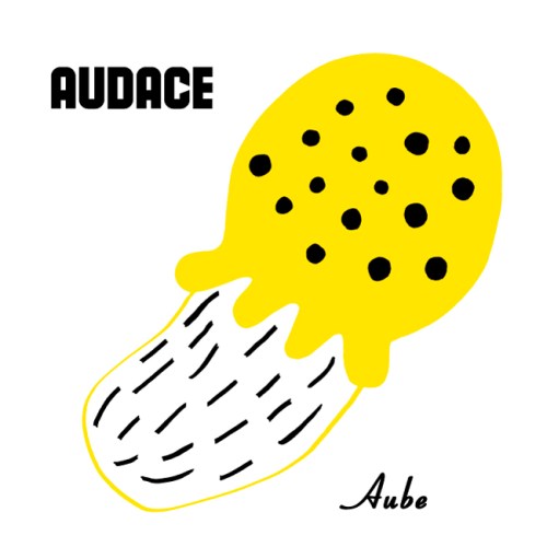 vignette-audace-aube-650